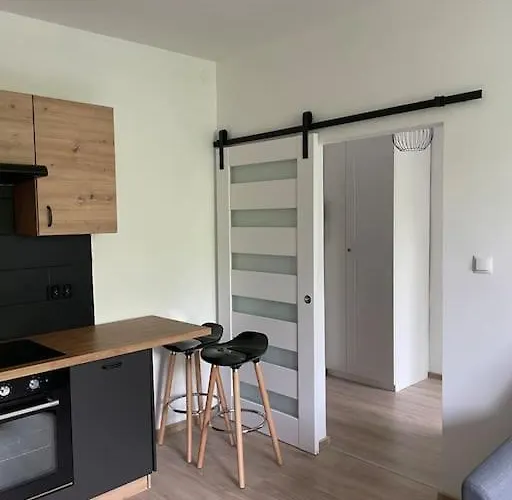 Apartament Kattowitz Sokolska