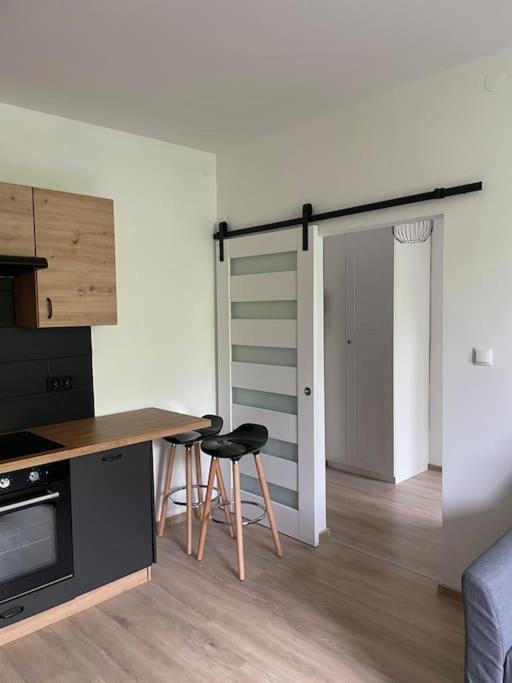 Sokolska Apartment *
